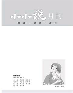 小小说月刊2018年1期