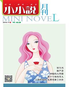 小小说月刊2018年11期