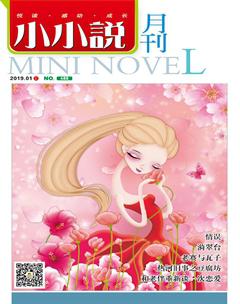 小小说月刊2019年1期
