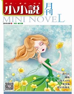 小小说月刊2019年9期
