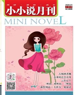 小小说月刊2020年1期