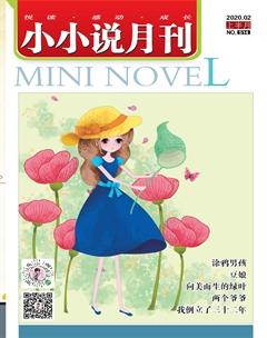 小小说月刊2020年2期