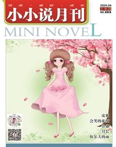 小小说月刊2020年4期