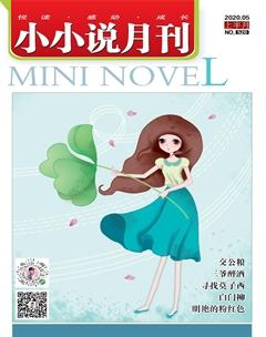 小小说月刊2020年5期