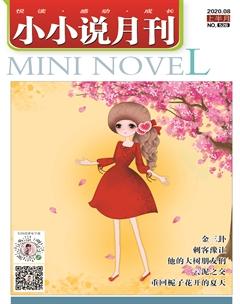 小小说月刊2020年8期