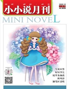 小小说月刊2020年12期