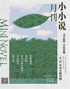 小小说月刊2021年1期