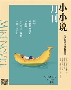 小小说月刊2021年2期