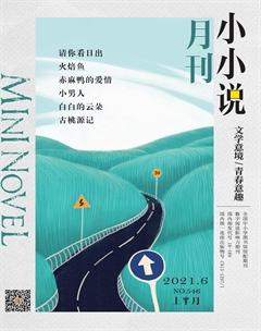 小小说月刊2021年6期
