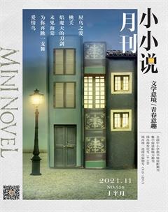 小小说月刊2021年11期