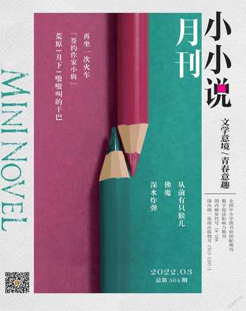 小小说月刊2022年3期