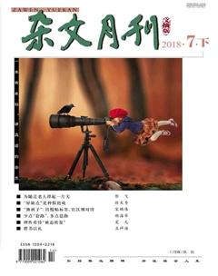 杂文月刊(选刊版)2018年7期
