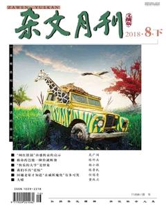 杂文月刊(选刊版)2018年8期