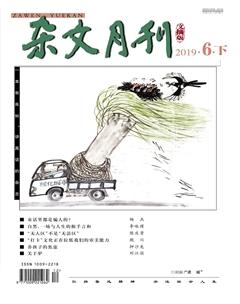 杂文月刊(选刊版)2019年6期