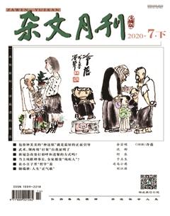 杂文月刊(选刊版)2020年7期