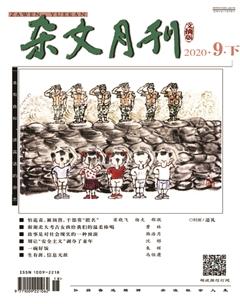 杂文月刊(选刊版)2020年9期