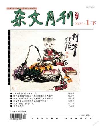 杂文月刊(选刊版)2022年1期