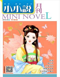 小小说月刊·下半月2016年9期