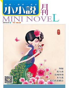 小小说月刊·下半月2019年1期