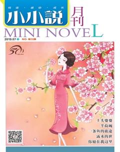 小小说月刊·下半月2019年7期