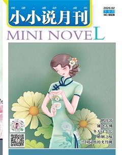 小小说月刊·下半月2020年2期