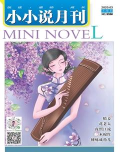小小说月刊·下半月2020年3期