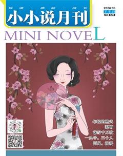 小小说月刊·下半月2020年5期