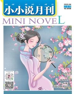 小小说月刊·下半月2020年6期