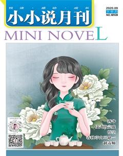 小小说月刊·下半月2020年9期