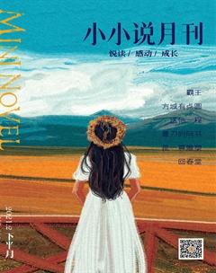 小小说月刊·下半月2021年2期