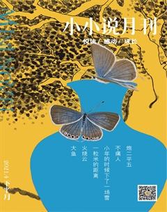 小小说月刊·下半月2021年4期