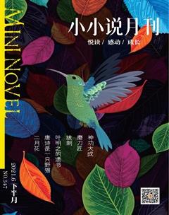 小小说月刊·下半月2021年6期