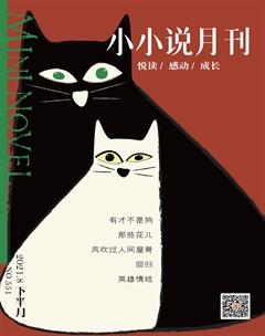 小小说月刊·下半月2021年8期