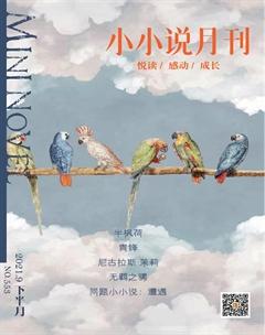 小小说月刊·下半月2021年9期