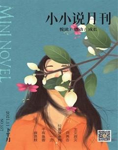小小说月刊·下半月2021年11期