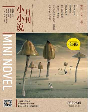 小小说月刊·下半月2022年4期