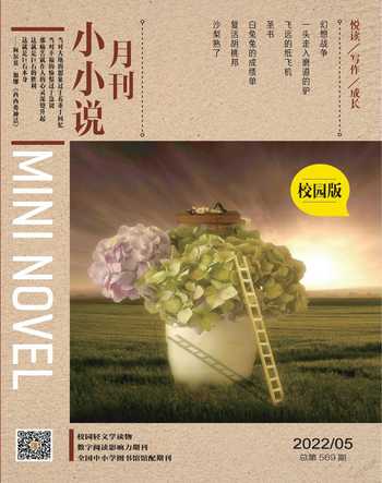 小小说月刊·下半月2022年5期