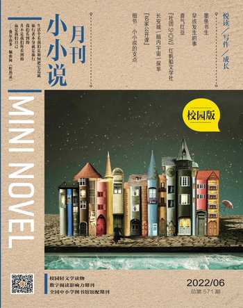 小小说月刊·下半月2022年6期