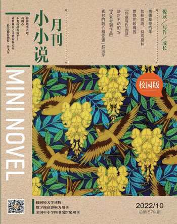 小小说月刊·下半月2022年10期