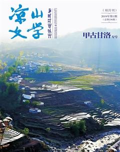 凉山文学2019年1期