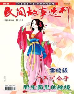 民间故事选刊·上2016年10期
