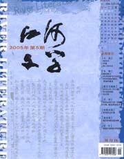 江河文学2005年5期