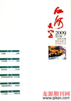 江河文学2009年1期