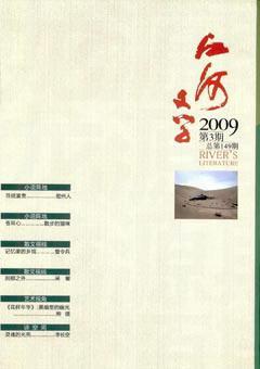 江河文学2009年3期