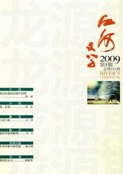江河文学2009年5期