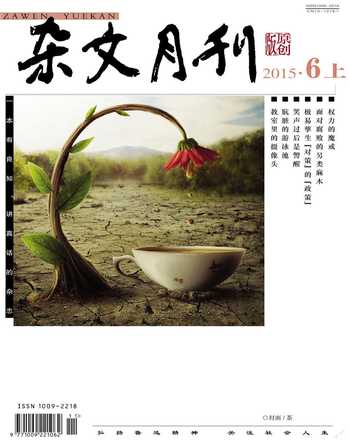 杂文月刊2015年6期