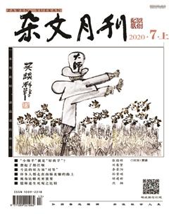 杂文月刊2020年7期