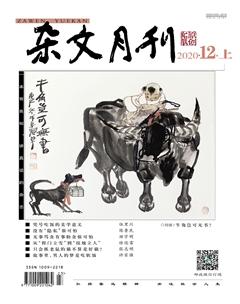 杂文月刊2020年12期