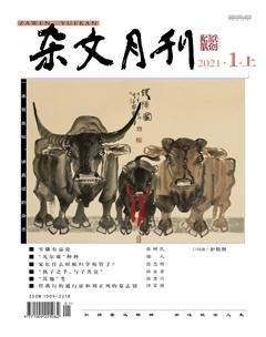 杂文月刊2021年1期