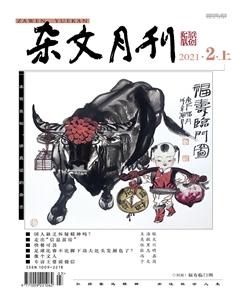 杂文月刊2021年2期